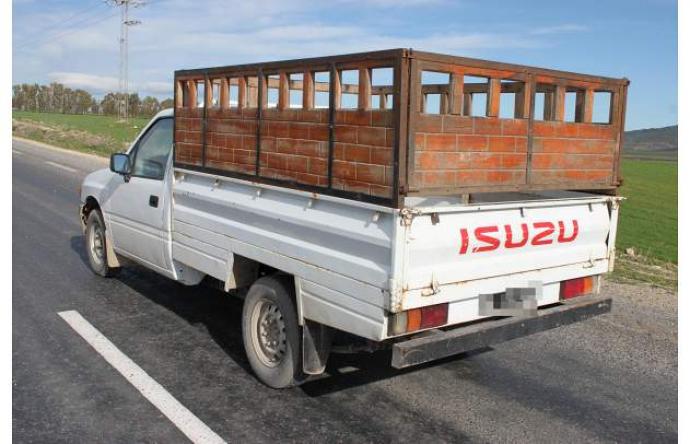 Isuzu 10 тонник рефрижератор